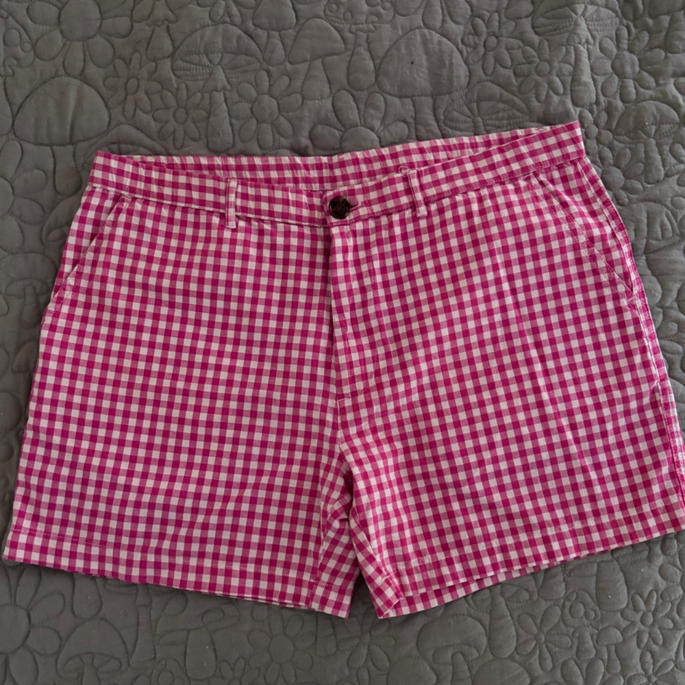 Chubbies gingham shorts